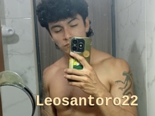 Leosantoro22