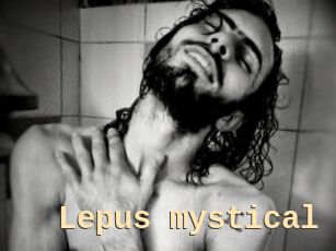 Lepus_mystical
