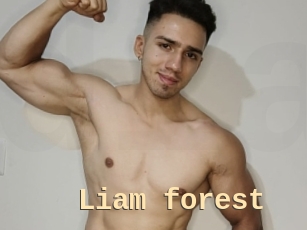 Liam_forest