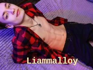 liammalloy Dialogue Sexe