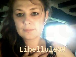 Libellule39