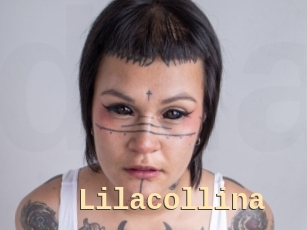 Lilacollina
