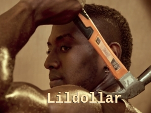 Lildollar