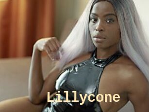 Lillycone