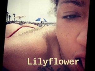 Lilyflower
