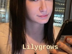 Lilygrows