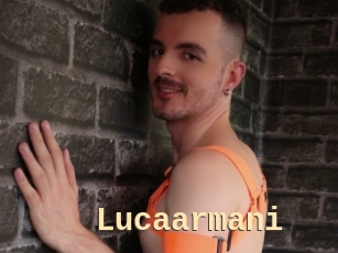 Lucaarmani