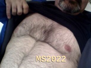 MS2022