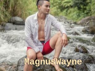MagnusWayne