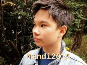 Mandi2013