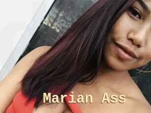 Marian_Ass