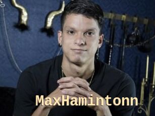 MaxHamintonn