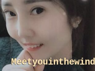 Meetyouinthewind