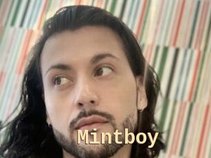Mintboy