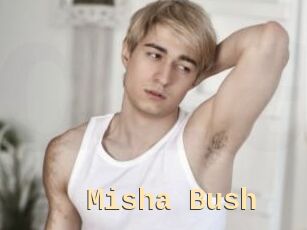 Misha_Bush