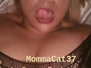 MommaCat37