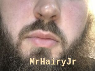 MrHairyJr