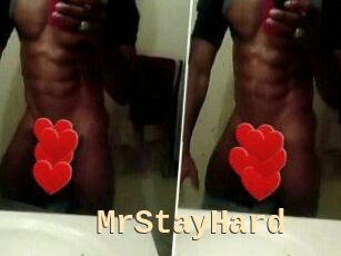 MrStayHard