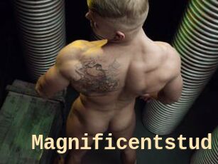 Magnificentstud