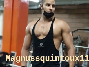 Magnussquintoux119