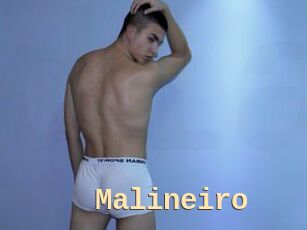 Malineiro