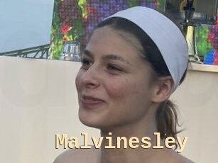 Malvinesley