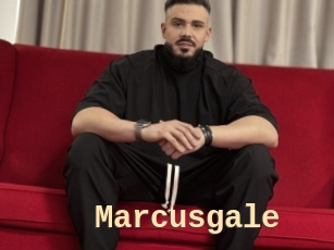 Marcusgale