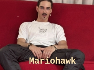 Mariohawk