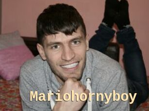 Mariohornyboy