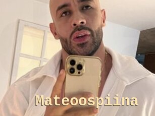 Mateoospiina