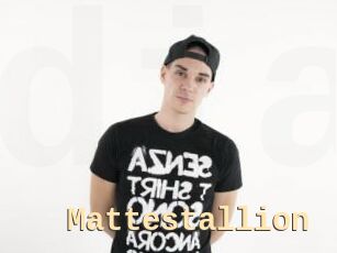 Mattestallion