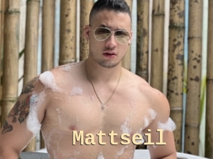 Mattseil