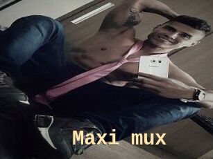 Maxi_mux