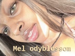 Mel_odyblossom