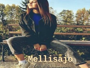 Mellisajo