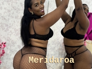 Meridaroa