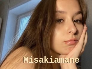 Misakiamane