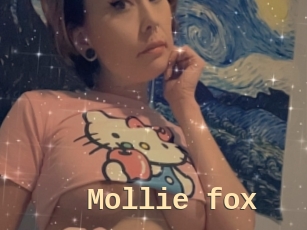 Mollie_fox