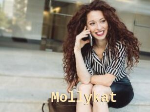 Mollykat