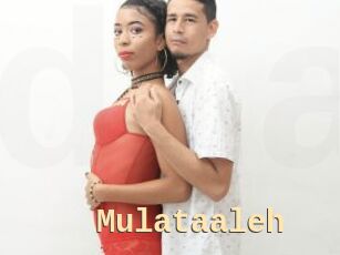 Mulataaleh
