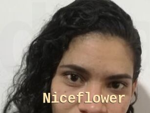 Nice_flower
