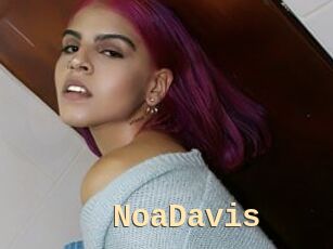 NoaDavis