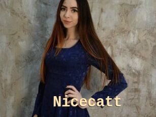 Nicecatt