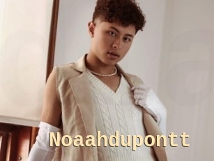 Noaahdupontt