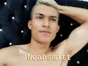 Noahsmitt