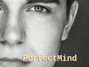 PerfectMind Dialogue Sexe