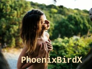 PhoenixBirdX