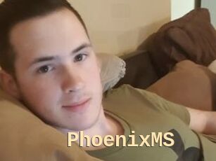 PhoenixMS
