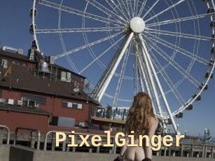 PixelGinger