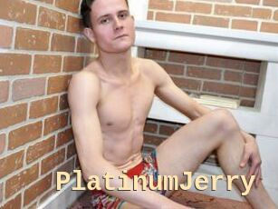 PlatinumJerry